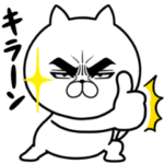 目ヂカラ☆にゃんこ13