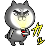 目ヂカラ☆にゃんこ10