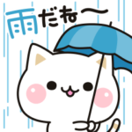 気づかいのできるネコ♪お天気編