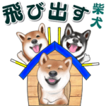 飛び出す柴犬（敬語編）