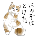 にゃんこのお言葉