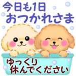 かわいい♥トイプードル「長文・敬語」
