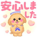 夏のかわいいトイプードル❤️でか文字