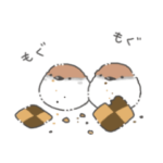 お菓子と鳥さん１