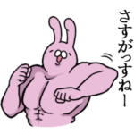 一応敬語！チャラウサギみたいなやつ