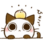 動く♪ちょこさん。1～目でうったえる猫～