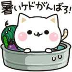 気づかいのできるネコ♪ 動く夏編