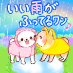 花とわんにゃん♡　梅雨・夏