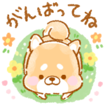 気遣い❤️いやしばいぬ❤️4