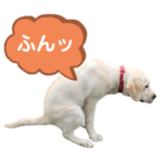ふんばり犬サン様