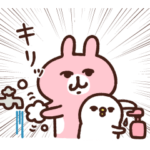 カナヘイのピスケ＆うさぎ5