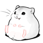 怠惰なジャンガリアンハムスター2