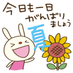 夏のてるてるうさぎ