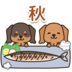 ほのぼのダックス日和♪