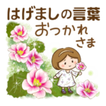 ほんわかさん12