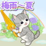 梅雨～夏　もこもこ猫ちゃんズ
