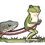 カエルときどきヘビ