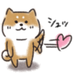 もっちり柴犬の日常2