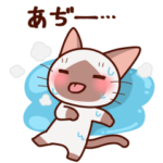 かまってシャムちゃん夏