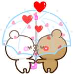 アモーレ♡くまくま