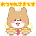 もふもふ♡しばいぬ　敬語
