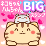 ネコちゃん ハムちゃん 