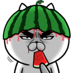 目ヂカラ☆にゃんこ11