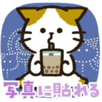 チャンパチとあそぼ