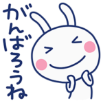 毎日使おう☆ほぼ白うさぎ