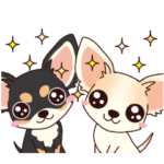 いやしの日常 ブラック&クリーム チワワ編