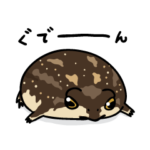 カエルスタンプ：アメフクラガエルさん