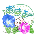 ほんわかさん25