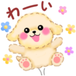 動く♪かわいい♥トイプードル