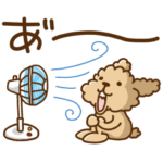 トイプーのぷう太郎 夏のだらだら編