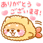 エビフライ❤️いやしばいぬ❤️