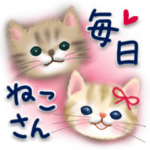 ♡まいにち猫さんスタンプ♡