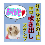 自分の持ってる写真やスタンプを文字入りに