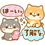 大人可愛い♡豆柴日和