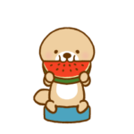 動け！突撃！ラッコさんの夏