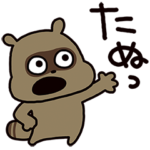 たぬきちゃん 今日もたぬう！