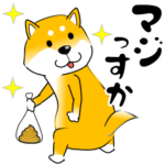 真・激しく尻尾をふる柴犬