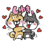 まいにち柴犬気分で。