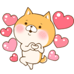 アイアム柴犬！