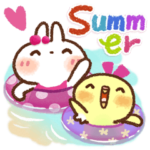 毎日便利白うさぎさん時々インコ