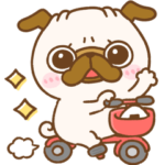 大人可愛い♡パグちゃんmix