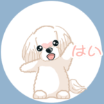 Maltese マルチーズ Ver6