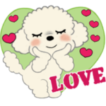 ふわふわトイプーさん達のスタンプ♡夏編