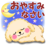 毎日使えるかわいい♥トイプードル「初秋」