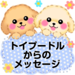 かわいいトイプードルのメッセージスタンプ