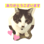 ゆうゆうオリジナルお付き合い良好スタンプ